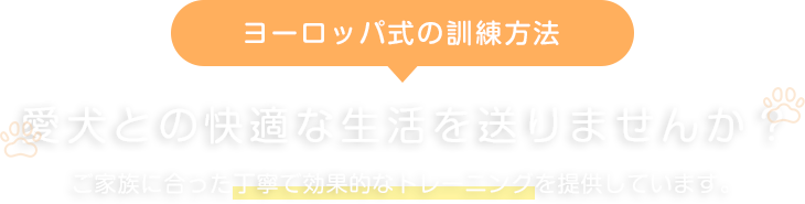 愛犬との快適な生活を送りませんか？